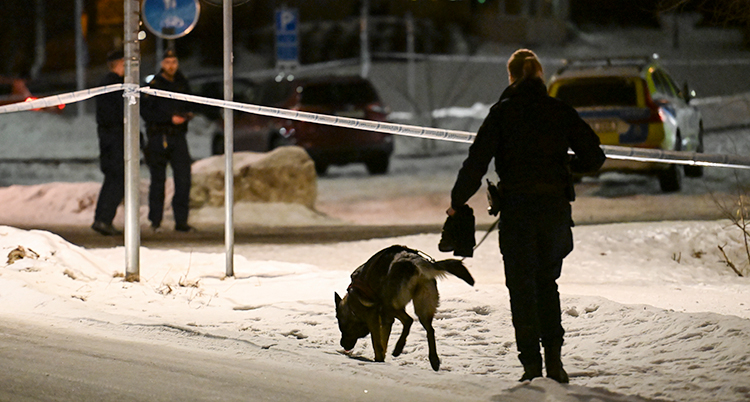 En kvinnlig polis går med en hund i snön. Längre bort står fler poliser.