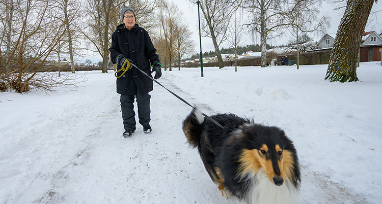 Hon går med hund i koppel.