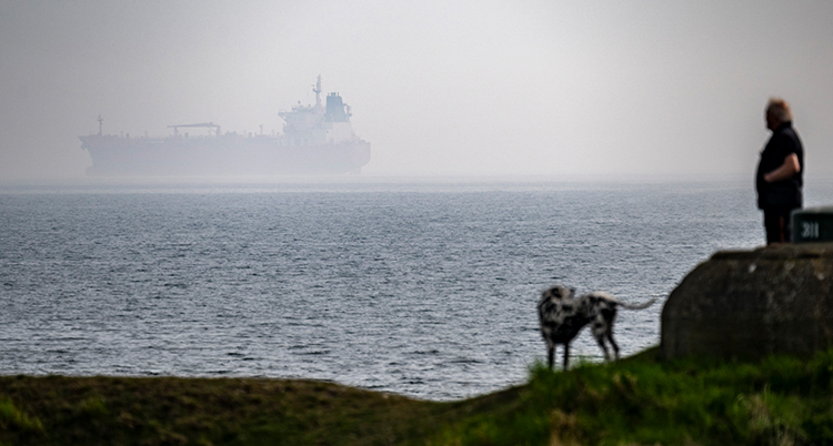 En man och en hund syns på land. Utanför syns ett stort fartyg i havet.