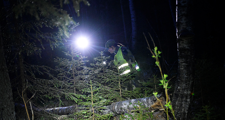 En kvinna med reflexväst lyser med en ficklampa i en skog.