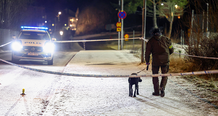 Det är vinter och snö. Det är utomhus. En polis går med en hund.