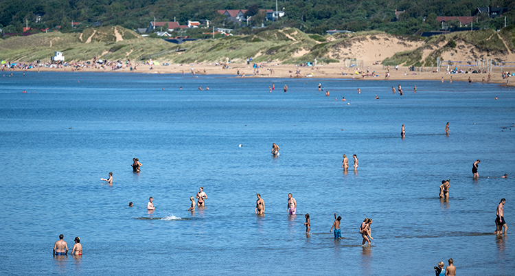 En badstrand med mycket folk i vattnet.
