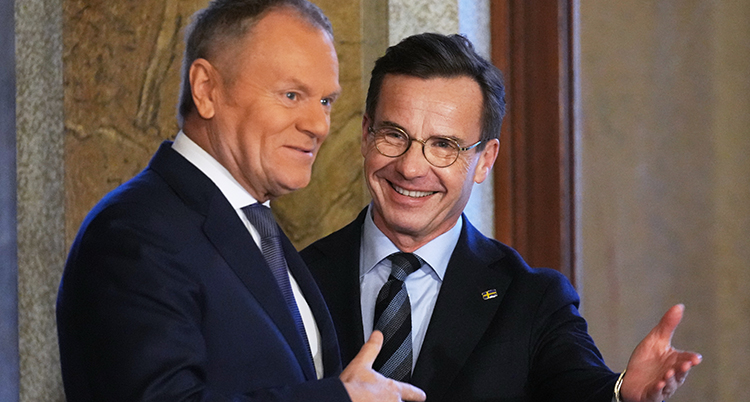De två ledarna för Polen och Sverige ser glada ut.