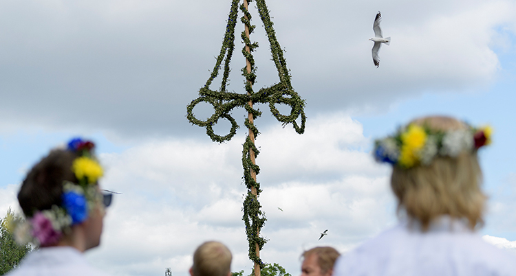 En midsommarstång och några personer runt den.