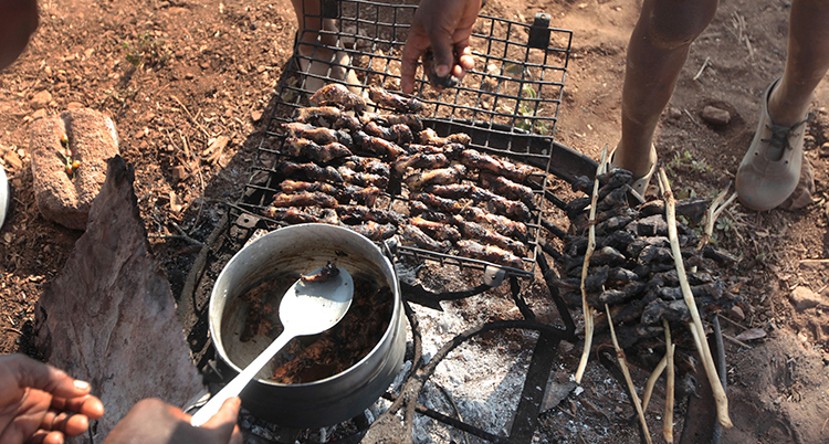 In this photo taken Saturday, Sept. 23, 2017, mice are cooked on a fire after being caught in a cornfield in Chidza, Masvingo Province, Zimbabwe. The trapped mice are roasted and then sold as a delicacy to motorists on the road to neighbouring South Africa. (AP Photo/Tsvangirayi Mukwazhi)