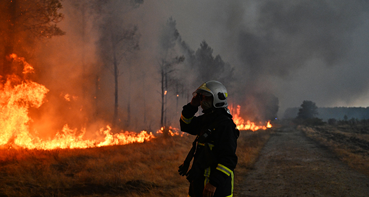 En brandman står vid elden i skogen.